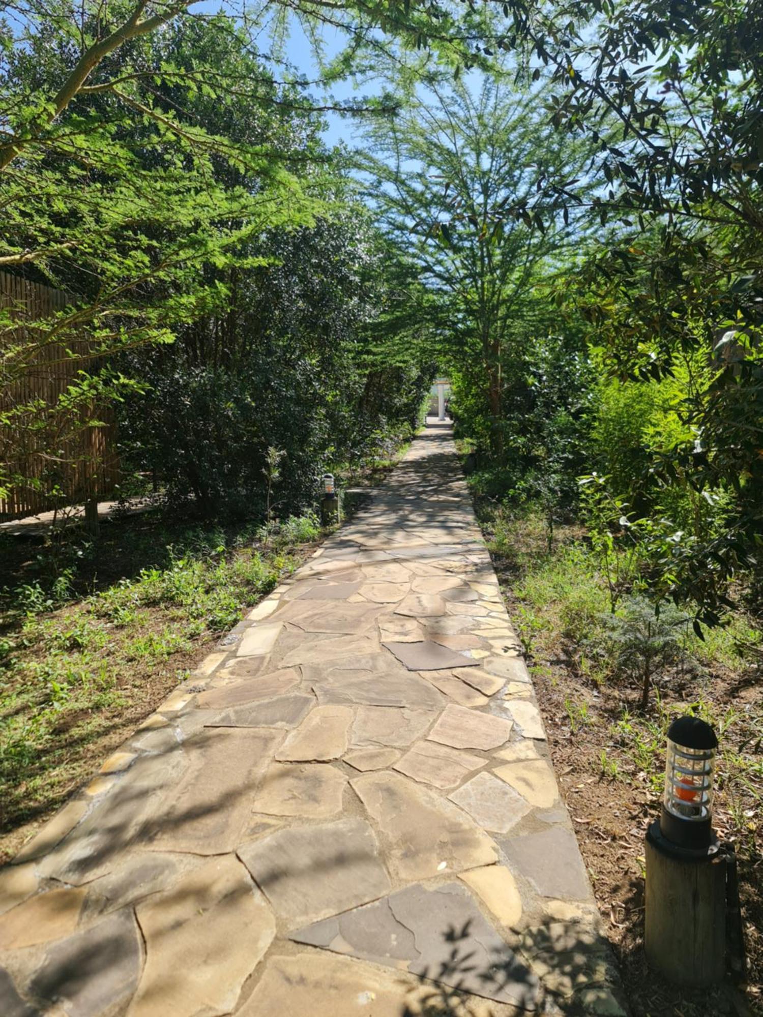 Ol Muteita